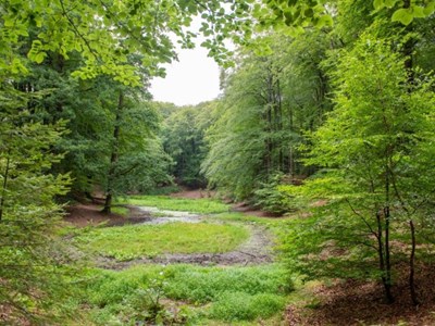 Ruiterroute langs Radio Kootwijk - Leesten