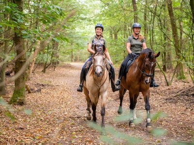 Ruiterroute Ermelo Houtdorperveld