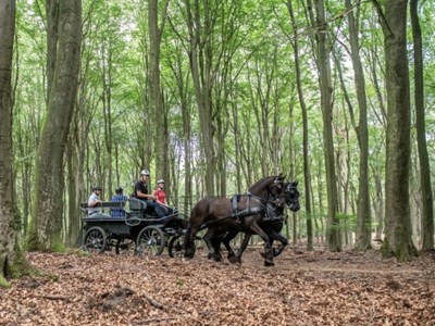 Ruiter- en menroute langs Boshuis drie