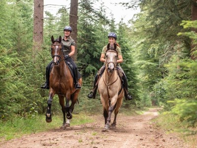 Veluwezoom ruiterroute  Carolinahoeve