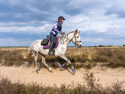 Stroe en Kootwijk ruiter- en menroute