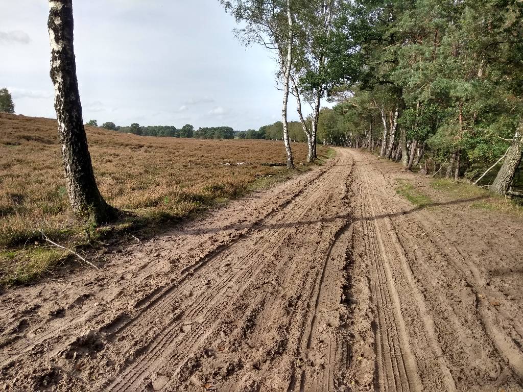 Edese bos ruiter- en menroute