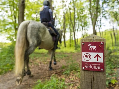 Ugchelen Ruiterroute