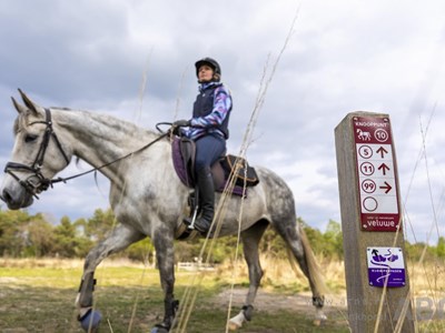 Ginkelse Heide en Edese bos Dagtocht