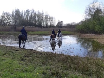 Ruiter- en menroute Tongerense heide in Epe