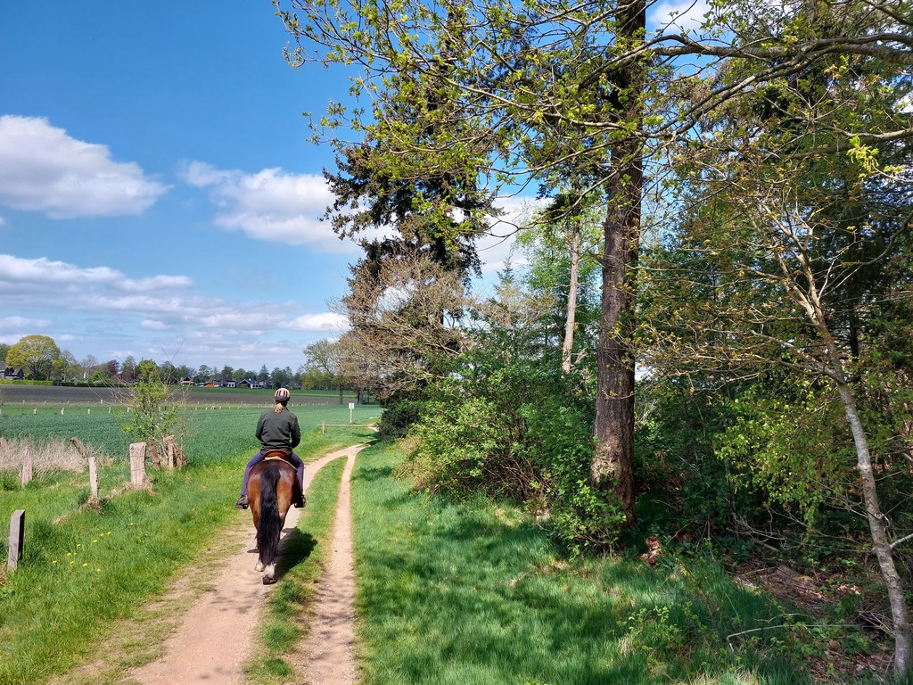 Barchem - Ruurlo - Borculo ruiterroute