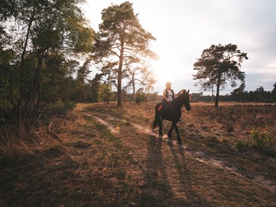Route Grote veld Achterhoek