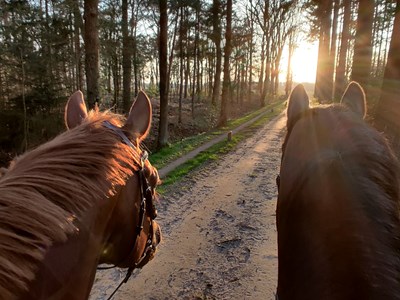 Hengelo - Veldhoek - Varssel - Ruurlo dagtocht