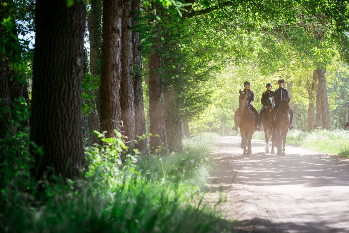 Ruiter- en menroute Winterswijk 