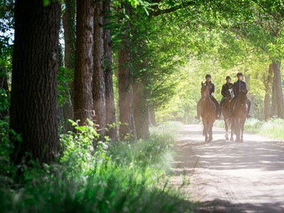 Route achterhoek Aalten-Dinxperlo