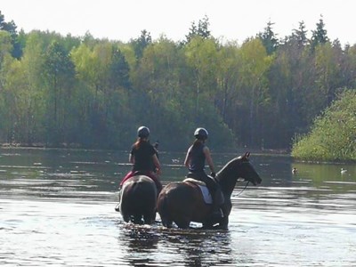 Florian Stables Hilvarenbeek
