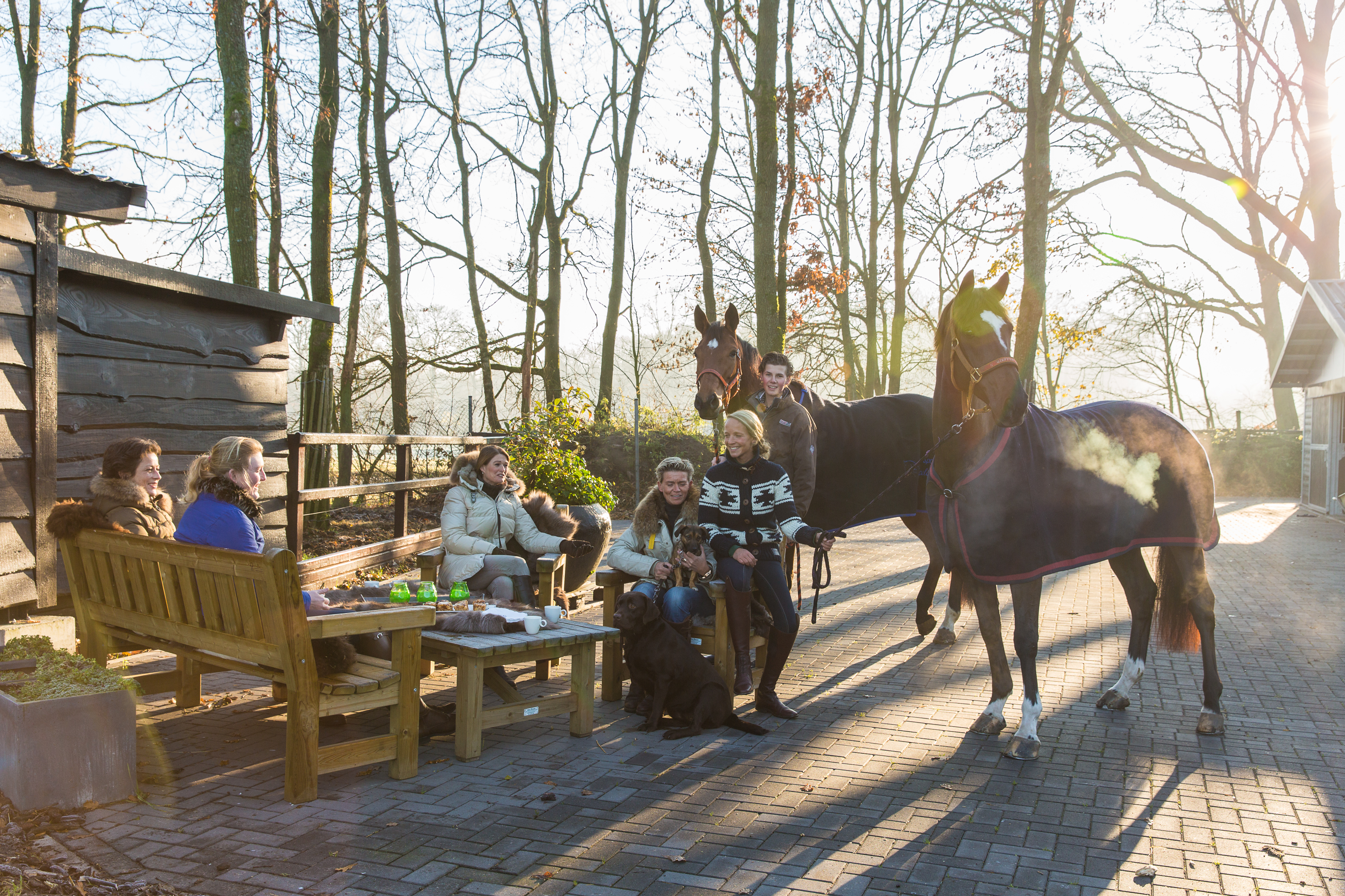 Paardenhotel De Cantharel 