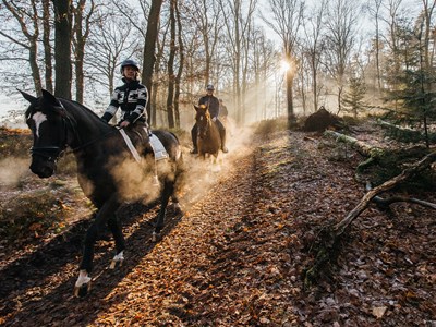 Veluweroute De Cantharel