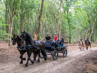Stroe en Kootwijk ruiter- en menroute