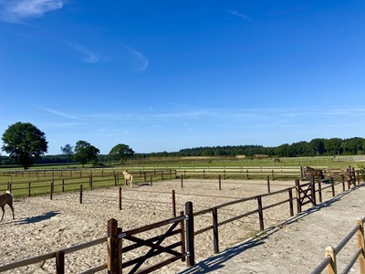 Florian Stables Hilvarenbeek