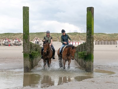 Domburg strandrit