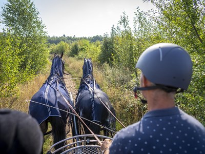 Drents-Friese Wold groene dagroute