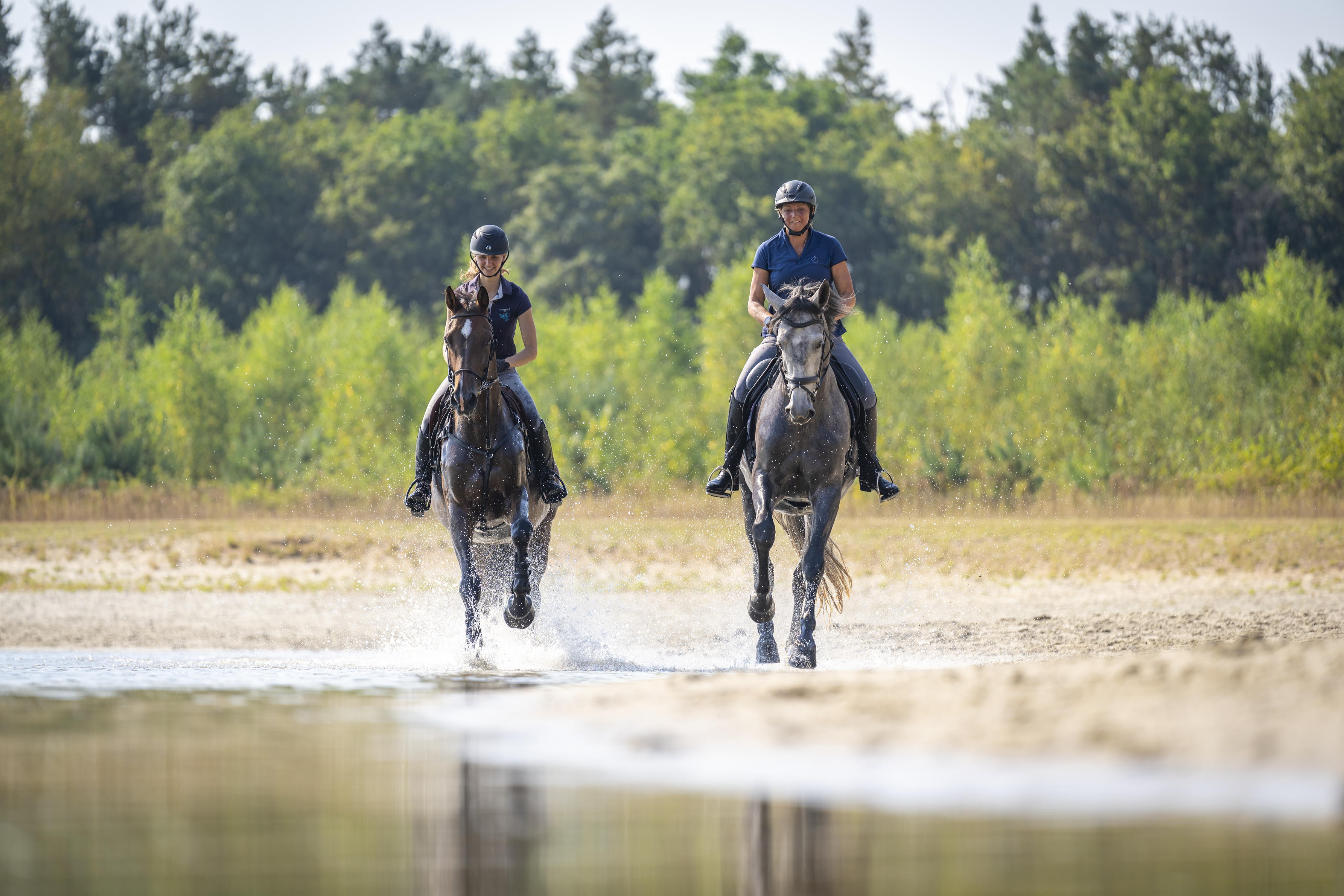 Drents-Friese Wold route