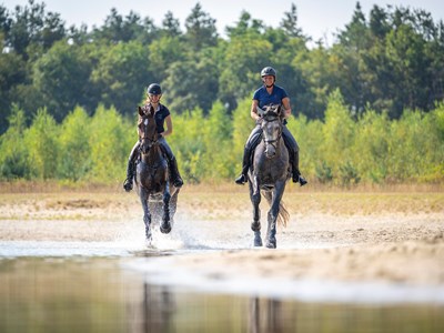 Drents-Friese Wold route