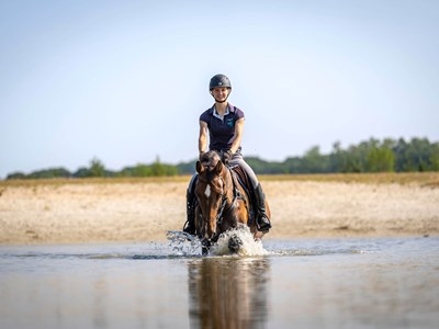 Drents-Friese Wold ruiterroute blauw
