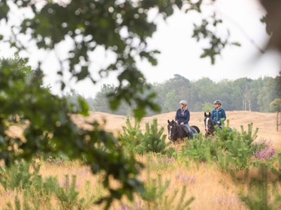 Drents-Friese Wold groene dagroute