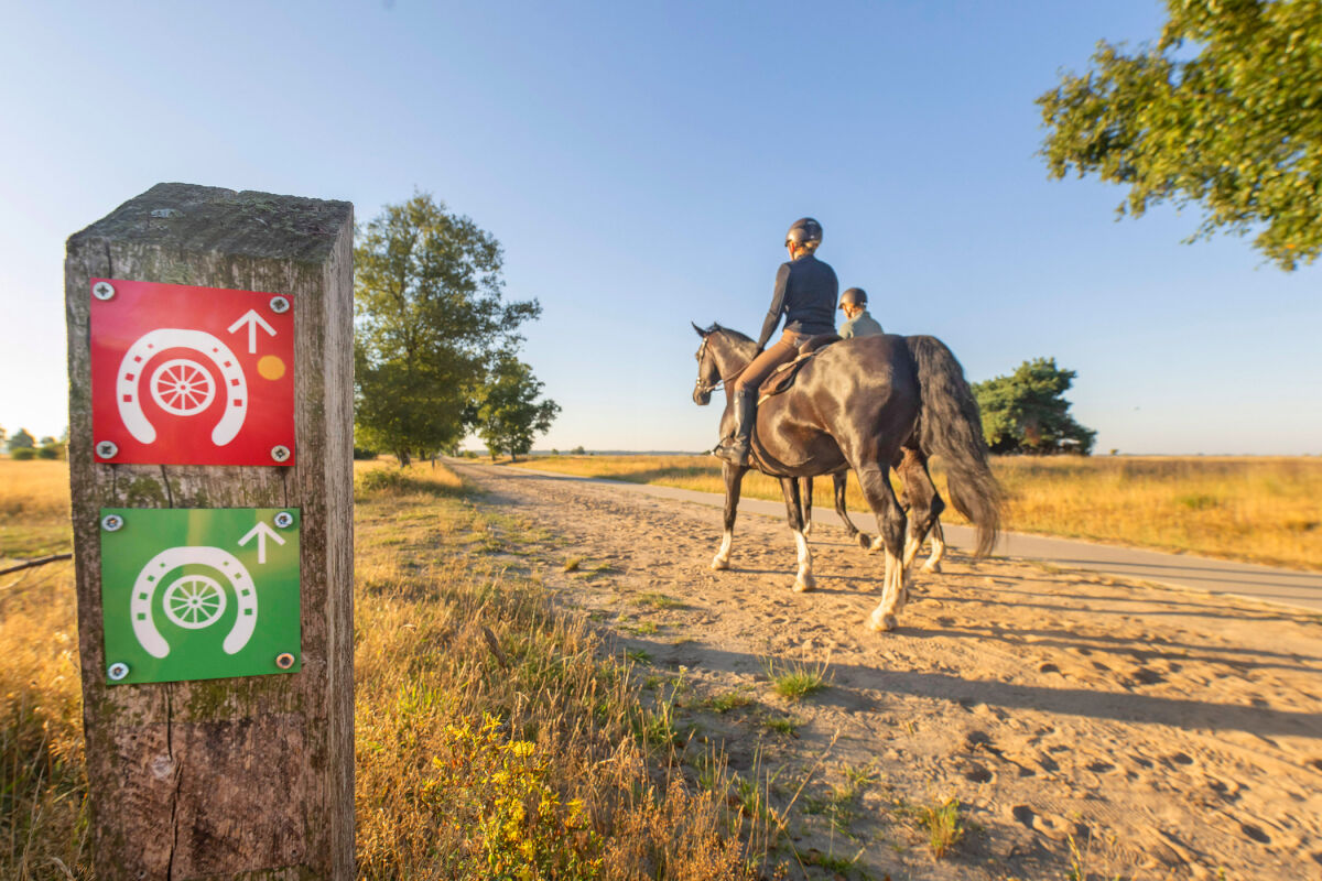 Dwingelderveld Dagroute Rood