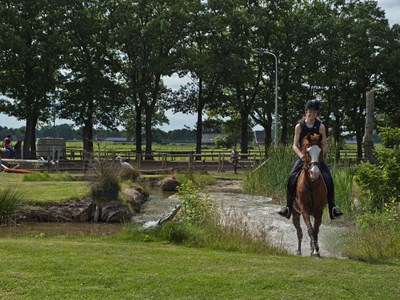 Hippisch Centrum de Achterhoek