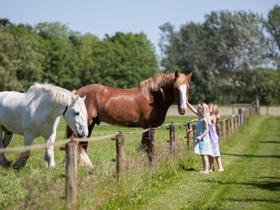 Vakantieoord Het Caitwickerzand