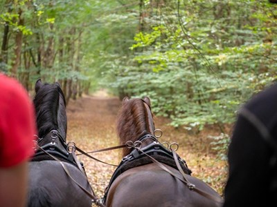 Veluwezoom  Carolinahoeve voor menners