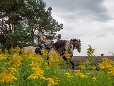 Caitwickerzand route op de Veluwe