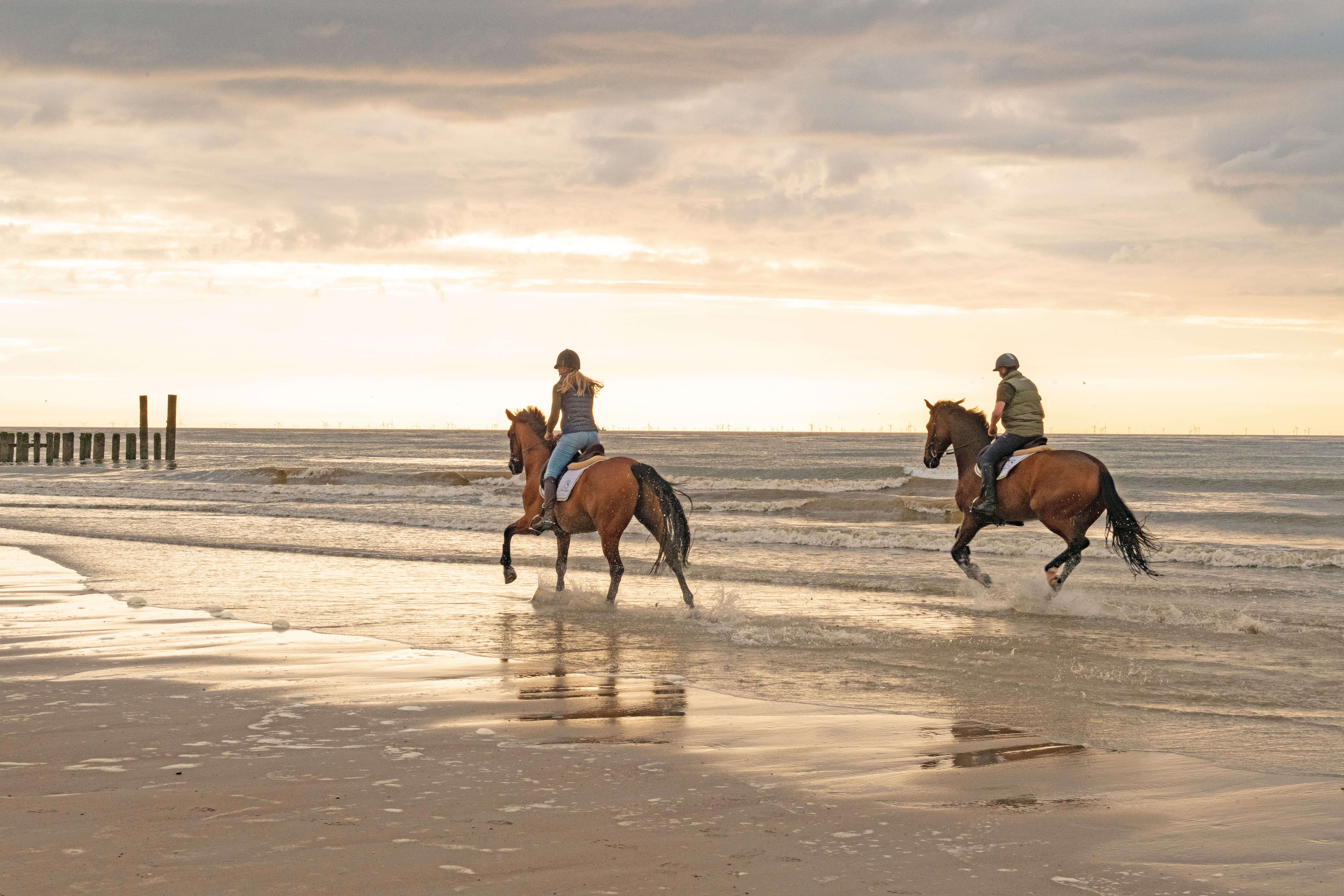 Van Paal 15 naar 17 in de Texelse Dennen