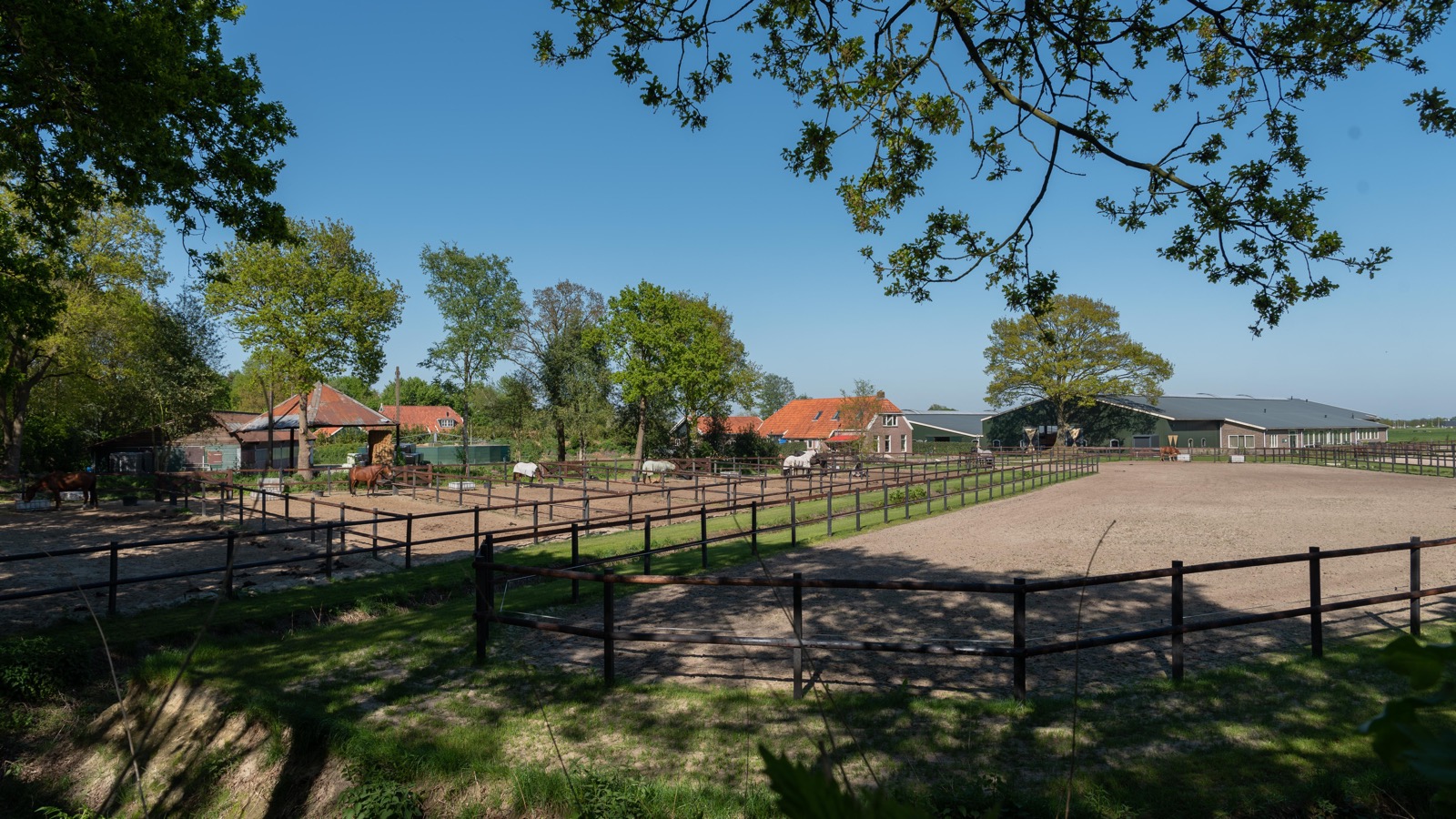 Paard, Mens en Onderwijs (PMO)