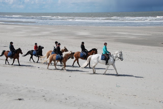 Manege Noordland 