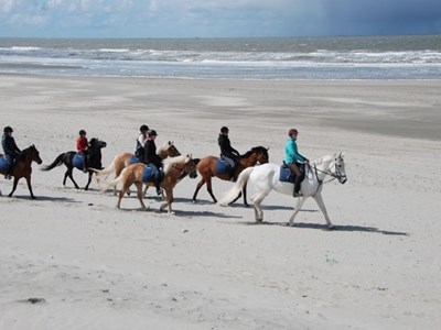 Manege Noordland