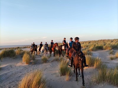 Manege El Sham