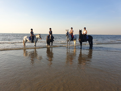 Paardensportcentrum de Dijkgraaf