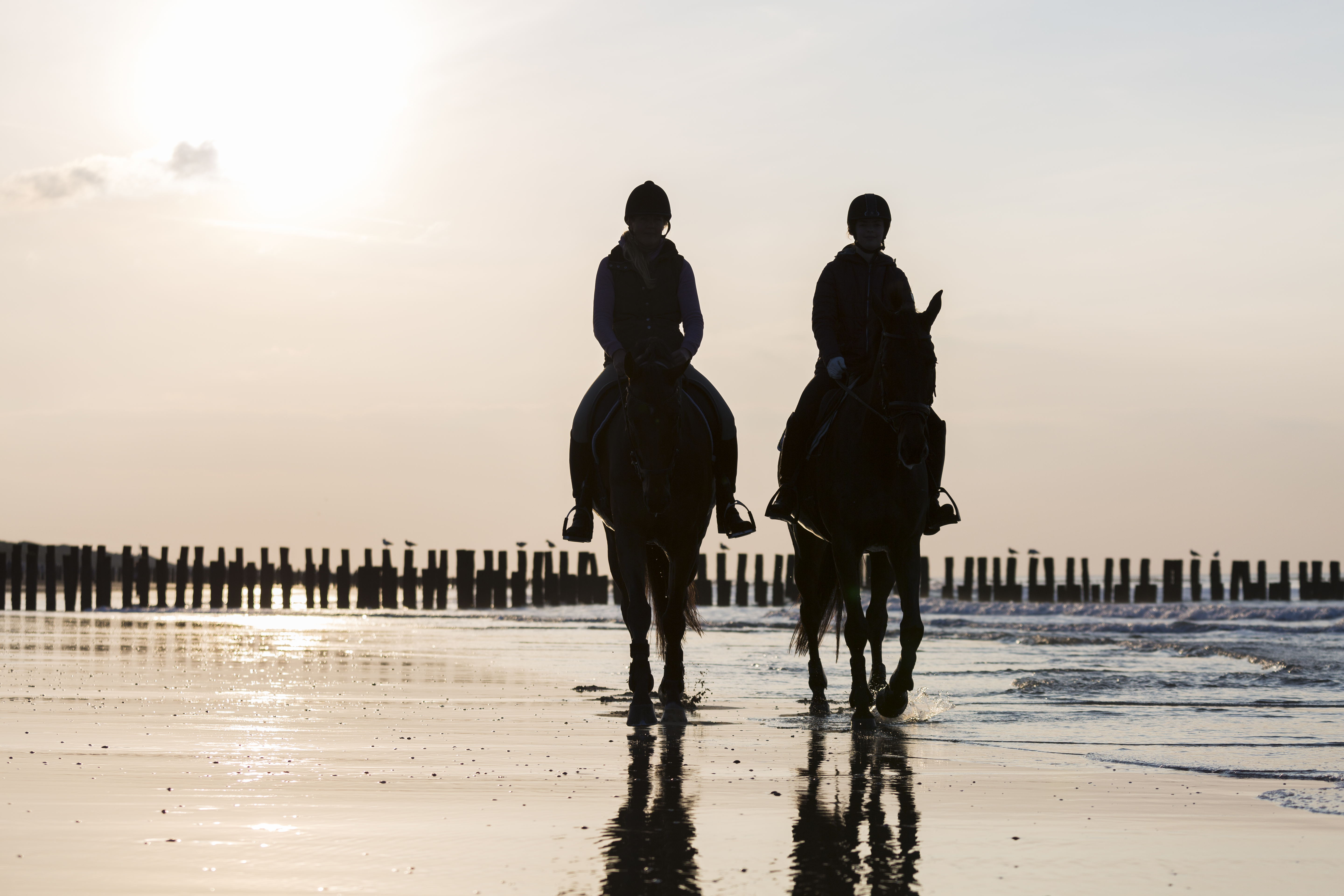 Domburg Holiday Resort Stables 