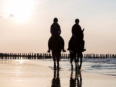 Domburg Holiday Resort Stables