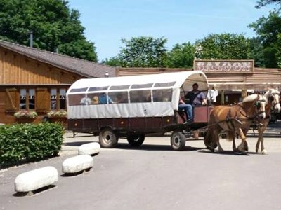 Paardenpension venhof