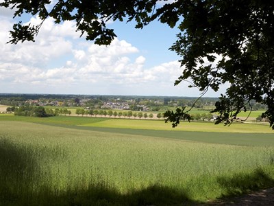 Montferland vanaf Hettenheuvel ruiterroute 20km