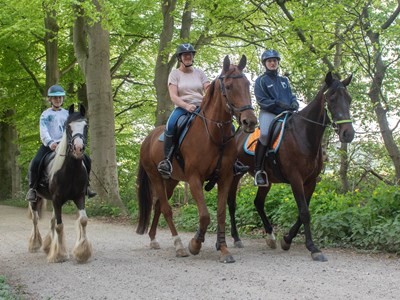 Montferland korte ruiterroute
