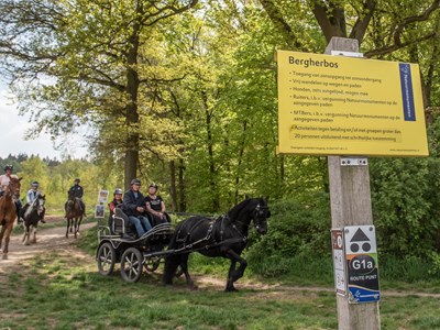 Montferland vanaf Kustersland ruiterroute 22 km
