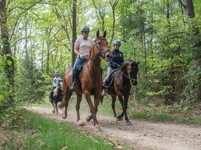 Montferland vanaf 't Peeske ruiterroute 19km