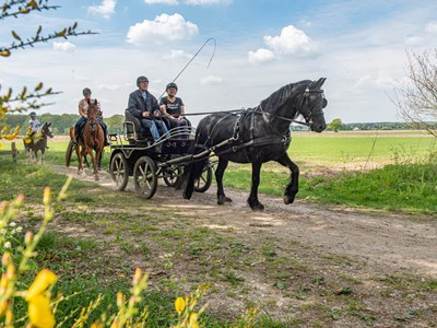 Montferland korte ruiterroute