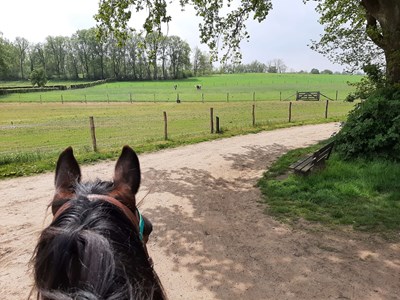 Montferland vanaf 't Peeske ruiterroute 16km