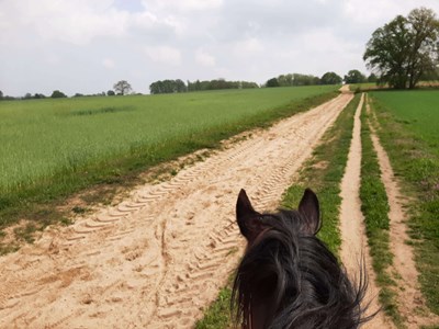 Montferland vanaf 't Peeske ruiterroute 16km