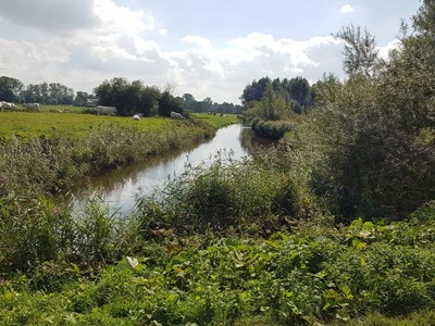 Gaasperplas route