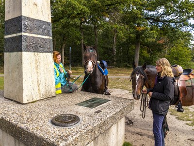 Austerlitz op de Utrechtse Heuvelrug