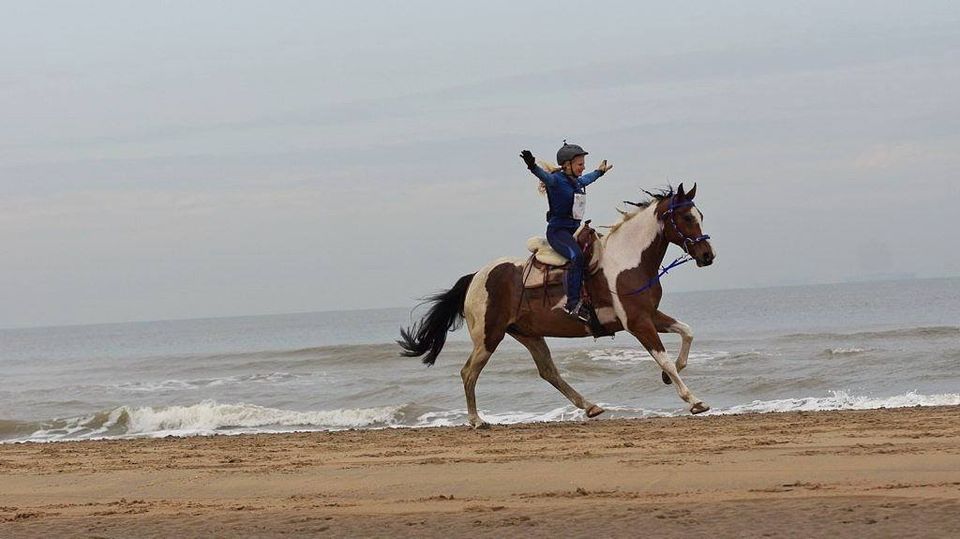 Wassenaar strandrit