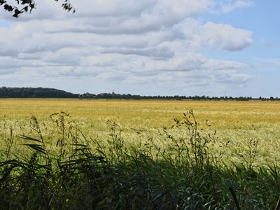 Dokkumer Wâldenroute